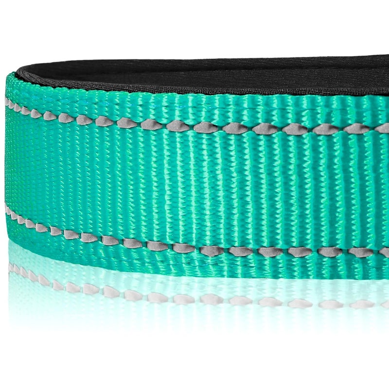 Joytale Reflective Dog Collar, Soft Neoprene Padded, Metal D-Ring, Nylon Pet Collar Adjustable for Medium Dogs, Teal, M - Image 3